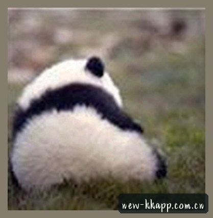 赵鹏